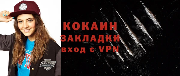 ГАЛЛЮЦИНОГЕННЫЕ ГРИБЫ Рославль