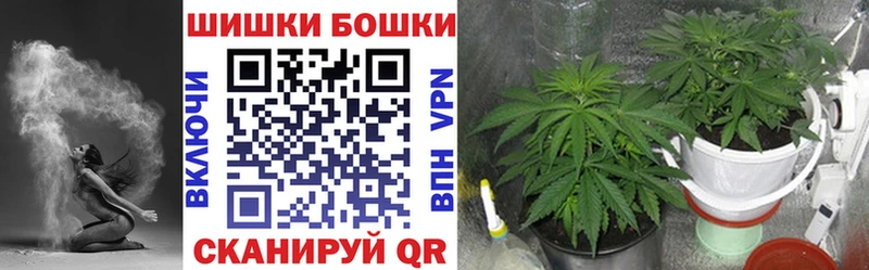 Бошки марихуана планчик  Торжок 